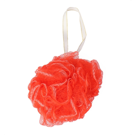 Picture of Migo's  Shower Loofah